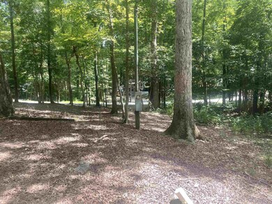 103 Chama Dr, Louisburg, NC 27549 - photo 6