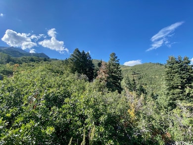 111 Upper Whittemore Dr unit 111, Springville, UT 84663 - photo 7