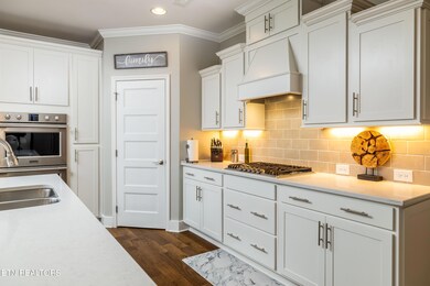 Luxury Kitchen