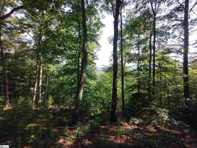 19 Timbers Edge Way, Travelers Rest, SC 29690 - photo 4