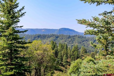 2613 Running Horse Place, Pagosa Springs, CO 81147 - photo 6