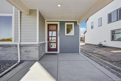2283 Serenidad St, Brighton, CO 80601 - photo 3
