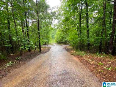 0 County Road 99 unit 39 Acres 1293078, Wedowee, AL 36278 - photo 6