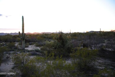 Looking North