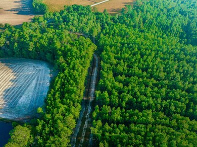 Hwy 45, Loris, SC 29569 - photo 4