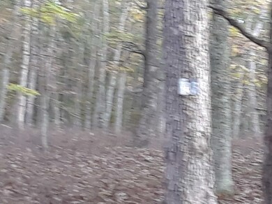 145 & 146 Mountain Top Rd, Lackawaxen Township, PA 18435 - photo 4