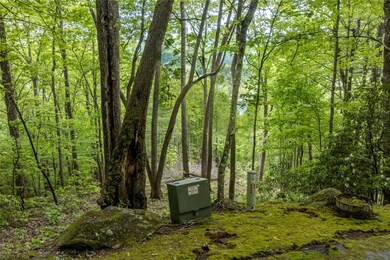 lot 13 Shepherds Gap Rd, Cullowhee, NC 28723 - photo 6