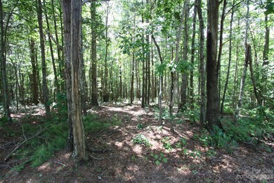 TBD Poplar Bluff Dr unit 41, Lenoir, NC 28645 - photo 5