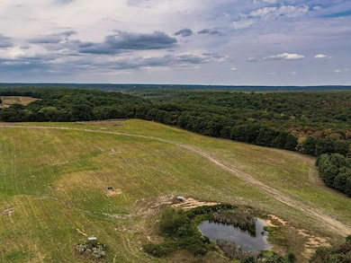 26850 Ivy Bend Rd, Stover, MO 65078 - photo 6