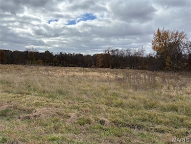 View of wooded area featuring a view of rural / pastoral area