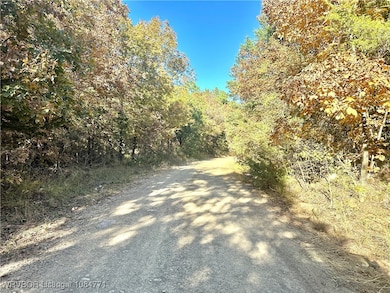 Tract 3 Benson Ln, Heavener, OK 74937 - photo 2