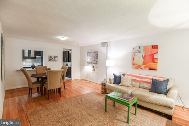 1669 Columbia Rd NW unit T-2, Washington, DC 20009 - photo 4