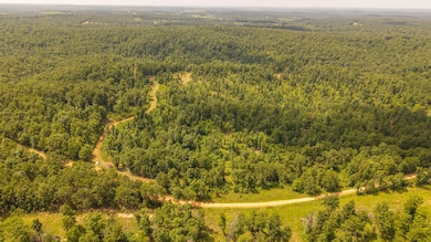 0 Bobcat Ln, Mammoth Spring, AR 72554 - photo 5