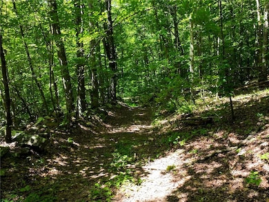 TBD 8872, Deer, AR 72628 - photo 3