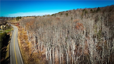 Lot-02 Langford Creek Rd, van Etten, NY 14889 - photo 2