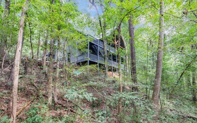 Additional View