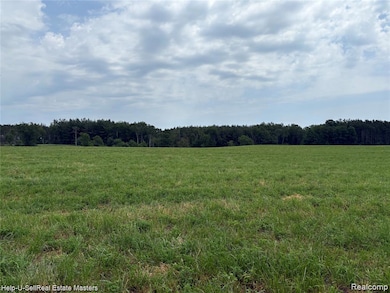 300 E Hubert Rd, Spruce, MI 48762 - photo 4