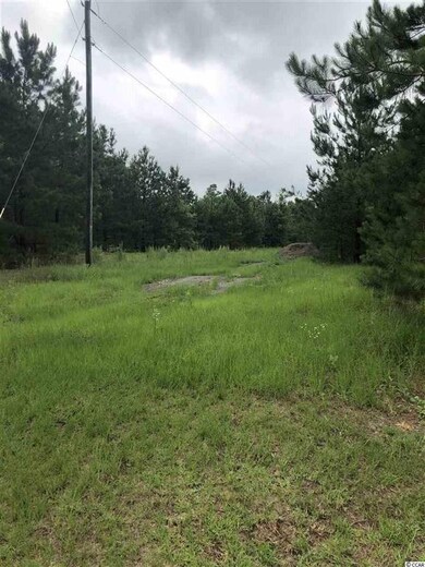 TBD Whispering Hills Rd unit Tract 1; Lot 2, Loris, SC 29569 - photo 2