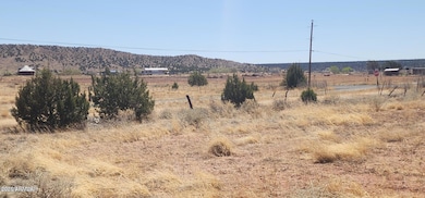 tbd E 2nd St unit 15, Concho, AZ 85924 - photo 6