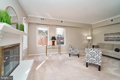 201C Locust St SE, Vienna, VA 22180 - photo 6