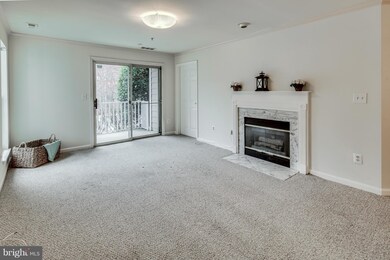 2 Tyler Falls Ct unit L, Baltimore, MD 21209 - photo 5