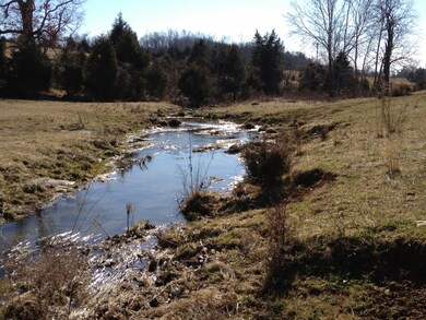 Sheep Creek - View 3