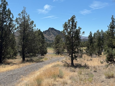 10164 SE Sundown Ln, Prineville, OR 97754 - photo 6