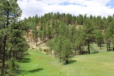 15 Bobcat Ln unit 15, Roundup, MT 59072 - photo 4