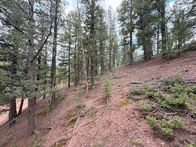 68 Horseshoe Dr, Divide, CO 80814 - photo 7