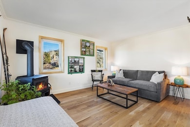 3197 Apres Ski Way unit 2, Steamboat Springs, CO 80487 - photo 6