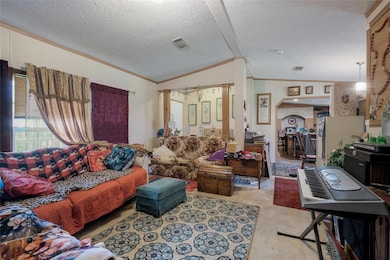 Carpeted living room with vaulted ceiling, orname