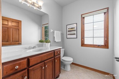 2548 Bangert Ln, Naperville, IL 60564 - photo 6