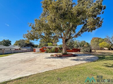 1403 & 1405 N Guadalupe St, Carlsbad, NM 88220 - photo 3