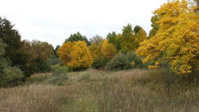 20141014_113646