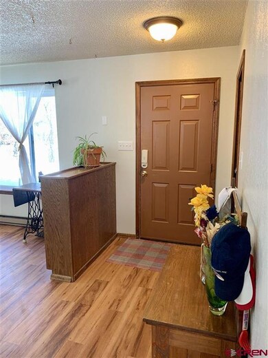 22 Elm Ct, Durango, CO 81301 - photo 3