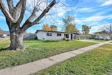 View of ranch-style home