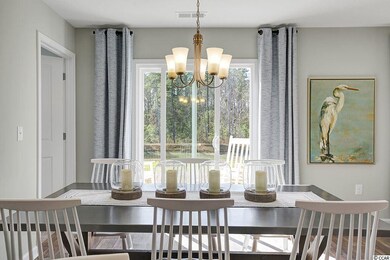 336 Spruce Pine Way unit Lot 202- Macon A, Conway, SC 29526 - photo 7