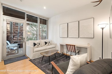 434 E Main St unit 102, Aspen, CO 81611 - photo 2