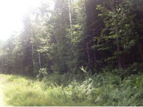 49.5 Deer Run, Bethlehem, NH 03574 - photo 7