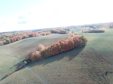 DJI_0291