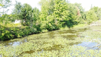 0 Arthur Ct unit 1926537, West Branch Township, MI 48661 - photo 5