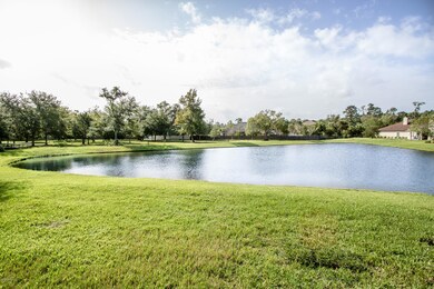 Back Yard View 3