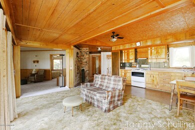 11079 N Pine Grove Ln, Bitely, MI 49309 - photo 5