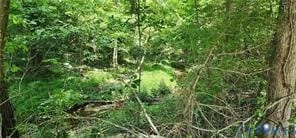 1380 Jasmine Rd, Goochland, VA 23063 - photo 4