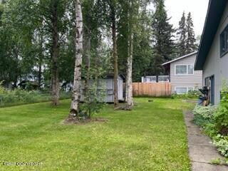 yard and trees