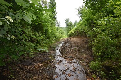 0 Highway 128 unit RTC2539766, Linden, TN 37096 - photo 5