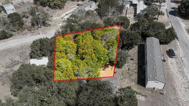 703 Hedgerow Trail, Granbury, TX 76048 - photo 4