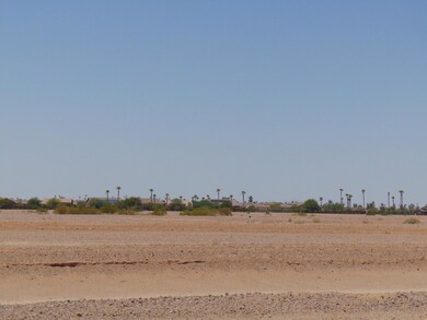 DSC00329