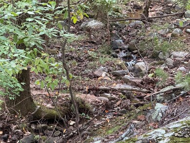 View of stream that is located on the lot line