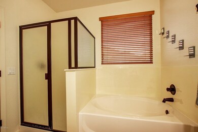 Tub and Shower at Master Bath